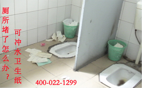 廁所堵了怎么辦,可沖水衛(wèi)生紙1 廁所堵了怎么辦,可沖水衛(wèi)生紙1