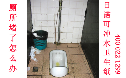 廁所堵了怎么辦 日諾水溶性衛(wèi)生紙批發(fā) 廁所堵了怎么辦 日諾水溶性衛(wèi)生紙批發(fā)